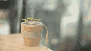 福利好大丨你去丹东吃这家蛋糕西餐，请把IPhone7留给我！