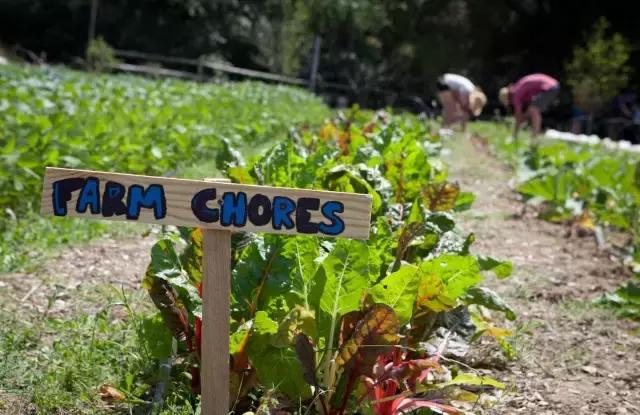 怎么才能一边旅行一边赚钱啊,国外旅游代购怎么赚钱的