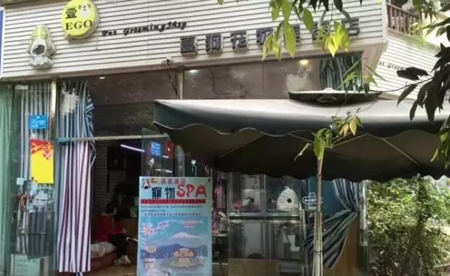 成都宠物寄养基地,成都狗狗寄养