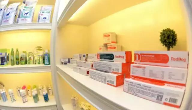 成都宠物寄养基地,成都狗狗寄养