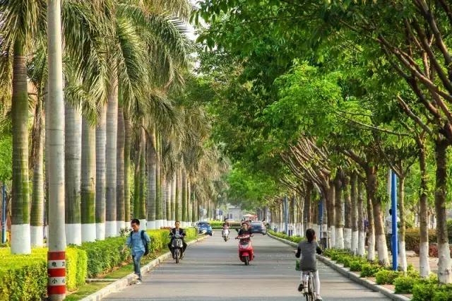 厦大入选全球12所最美大学！像花园一样的大学厦门原来这么多