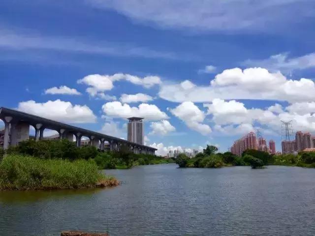 厦大入选全球12所最美大学！像花园一样的大学厦门原来这么多