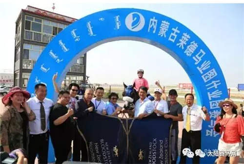 人不行,赛马上!甄子丹和洪金宝的赛马“真刀实枪”PK了一把!