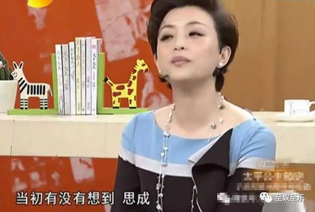 陈思诚和陈思成,陈思诚陈思诚