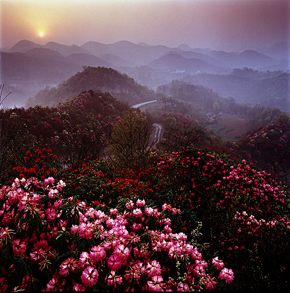 贵州十大世界之最,贵州创造了六项世界之最