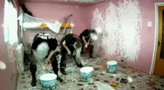 鸡蛋的蛋壳到底咋来的,鸡蛋壳不光滑很粗糙是假鸡蛋吗