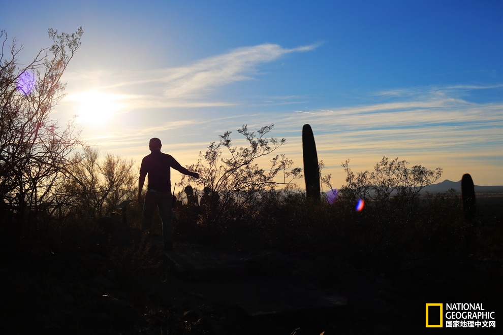 图森仙人掌,图森地理位置