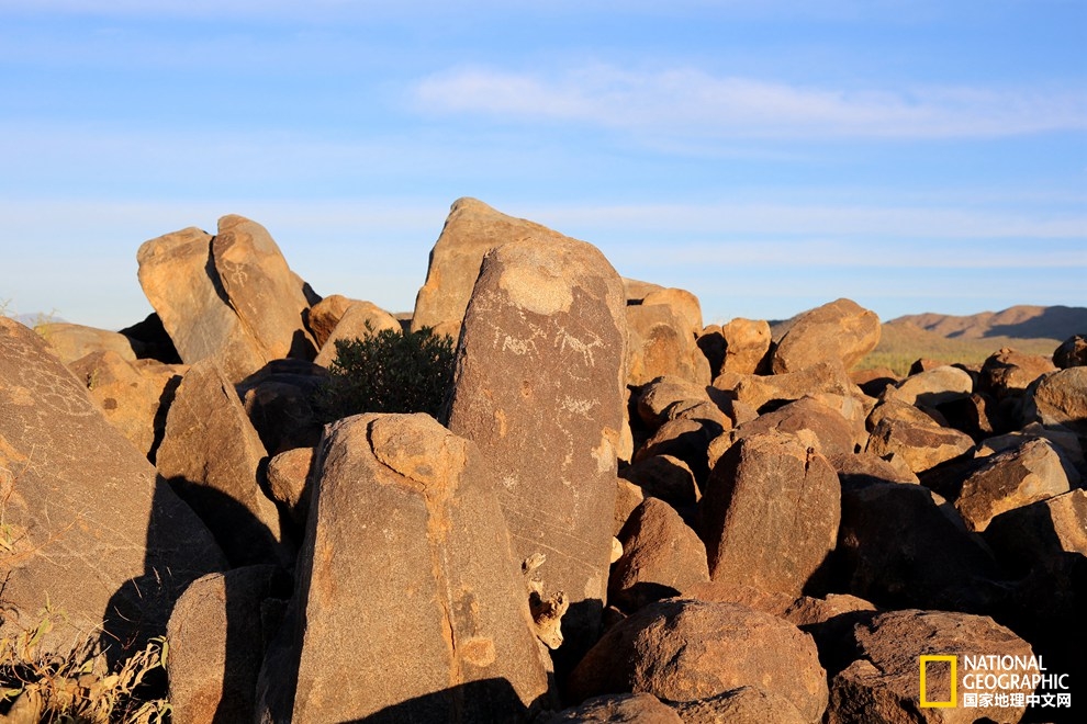 图森仙人掌,图森地理位置