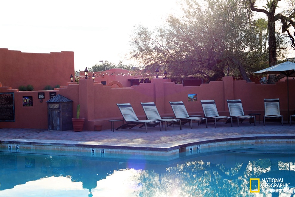 图森仙人掌,图森地理位置