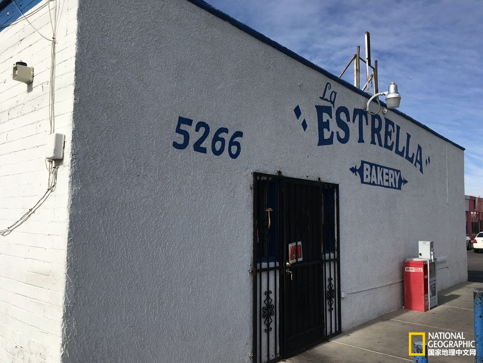 图森仙人掌,图森地理位置