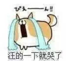 君子兰烂根后怎么处理配土上盆,椰糠配的土总是烂根