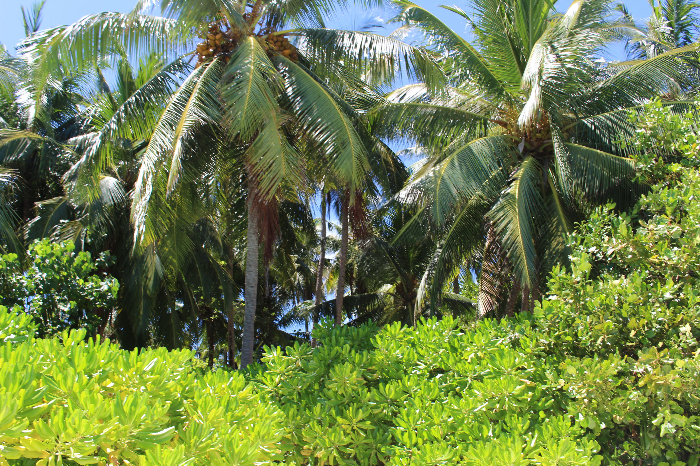 马尔代夫最美景色,最美马尔代夫风景