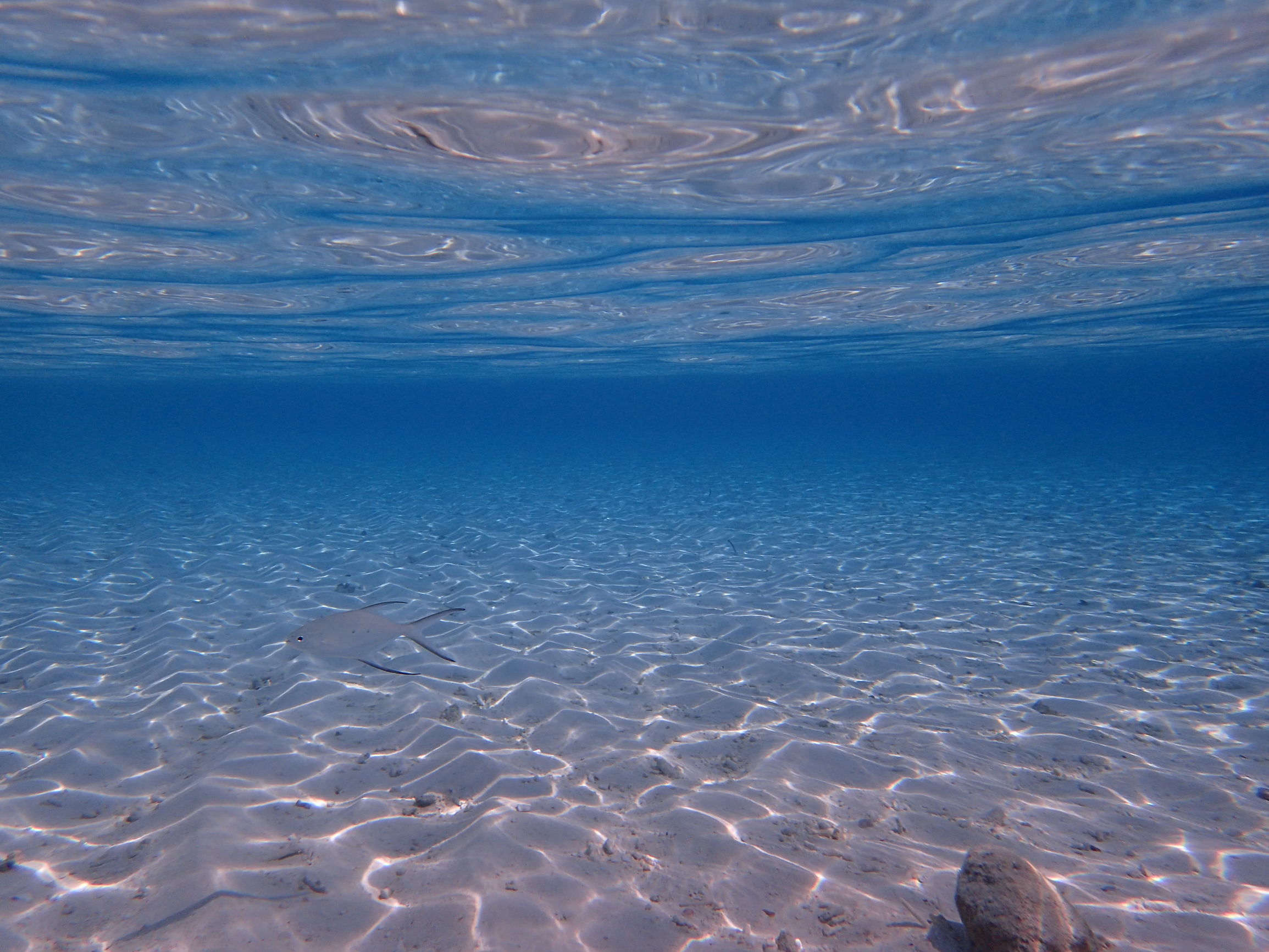 马尔代夫最美景色,最美马尔代夫风景