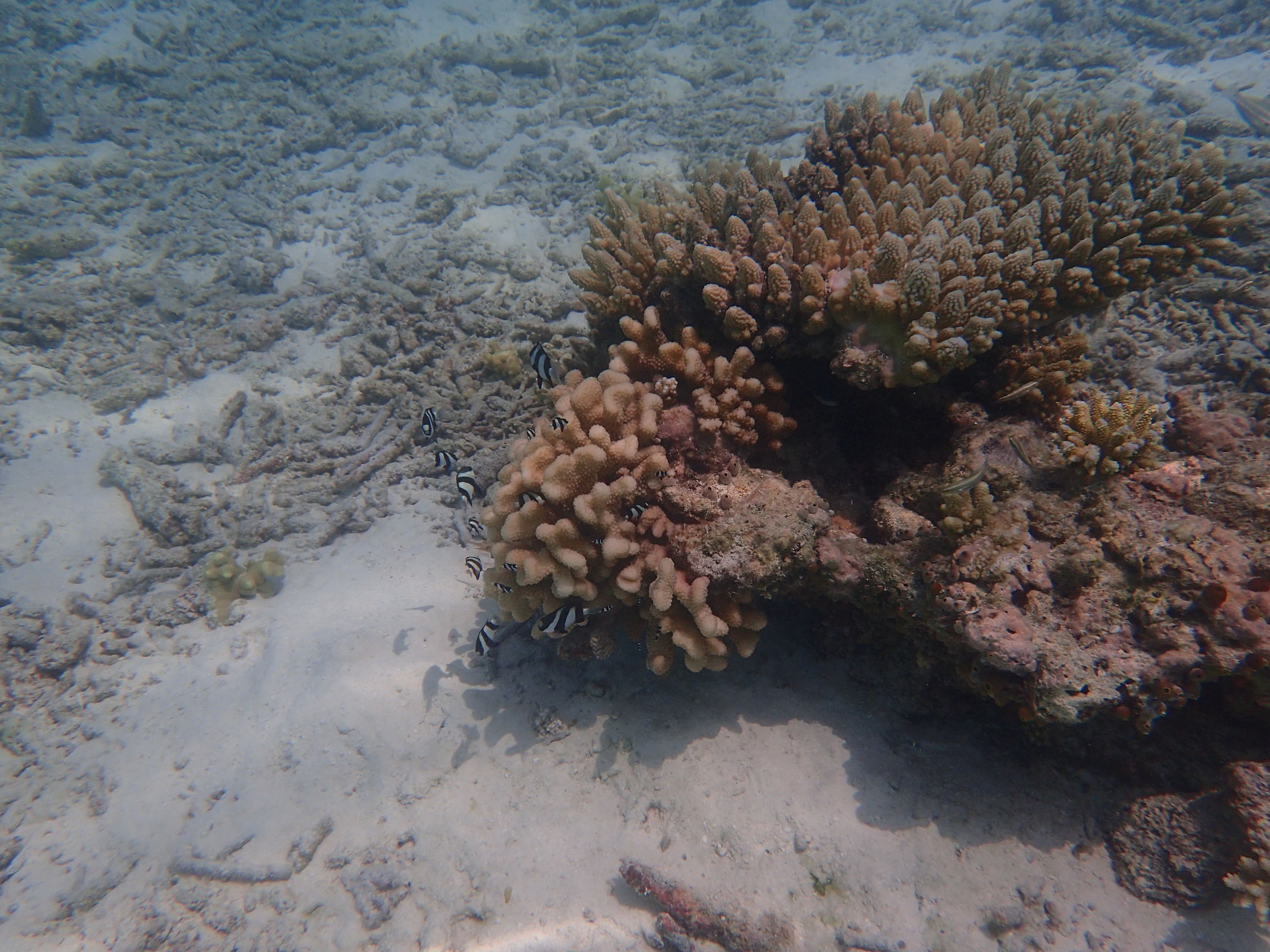 马尔代夫最美景色,最美马尔代夫风景