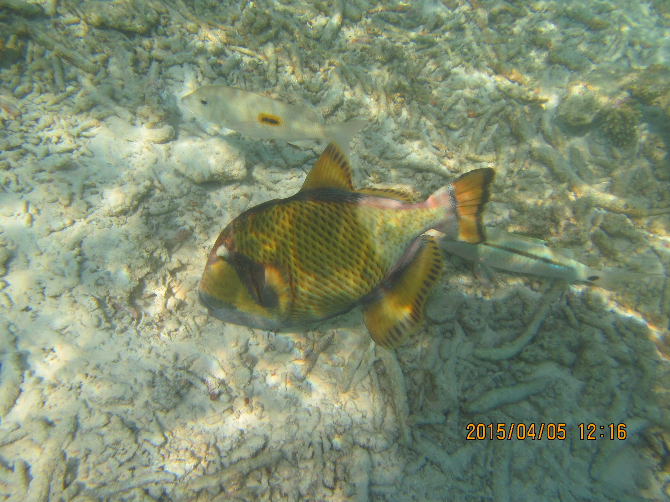 马尔代夫最美景色,最美马尔代夫风景