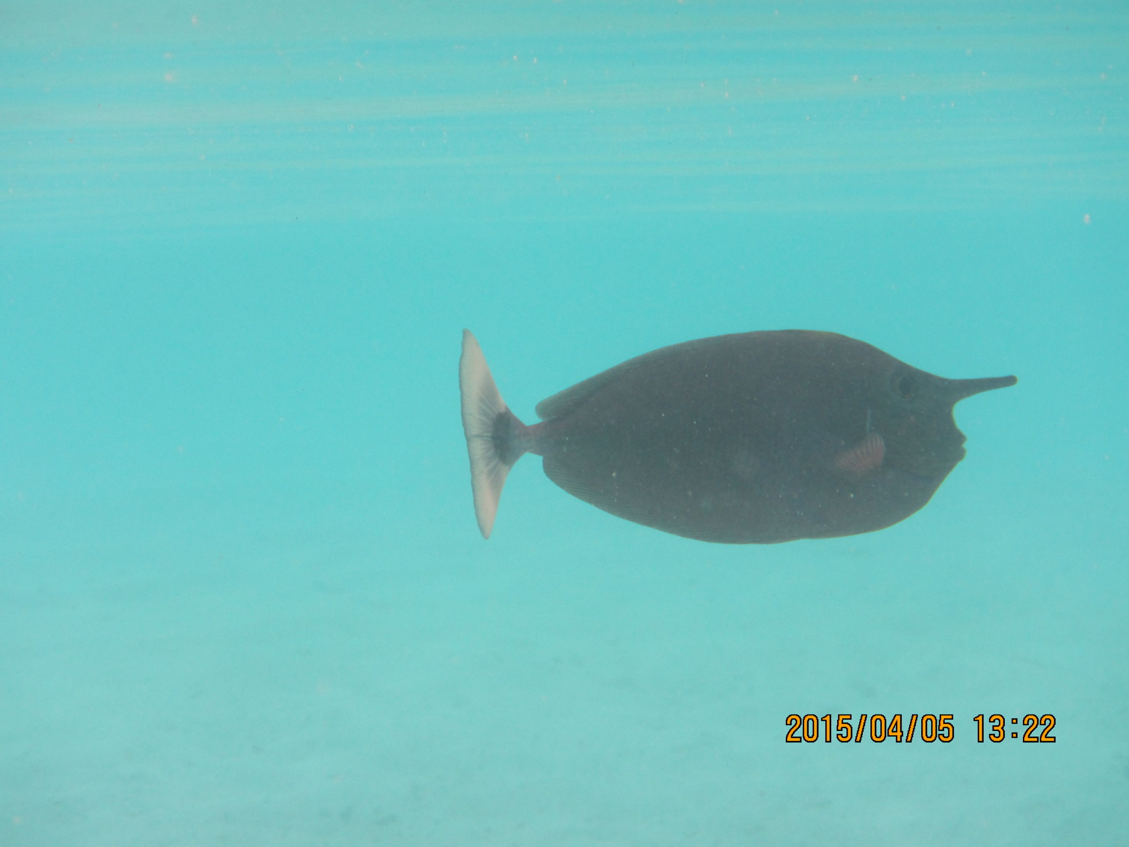 马尔代夫最美景色,最美马尔代夫风景