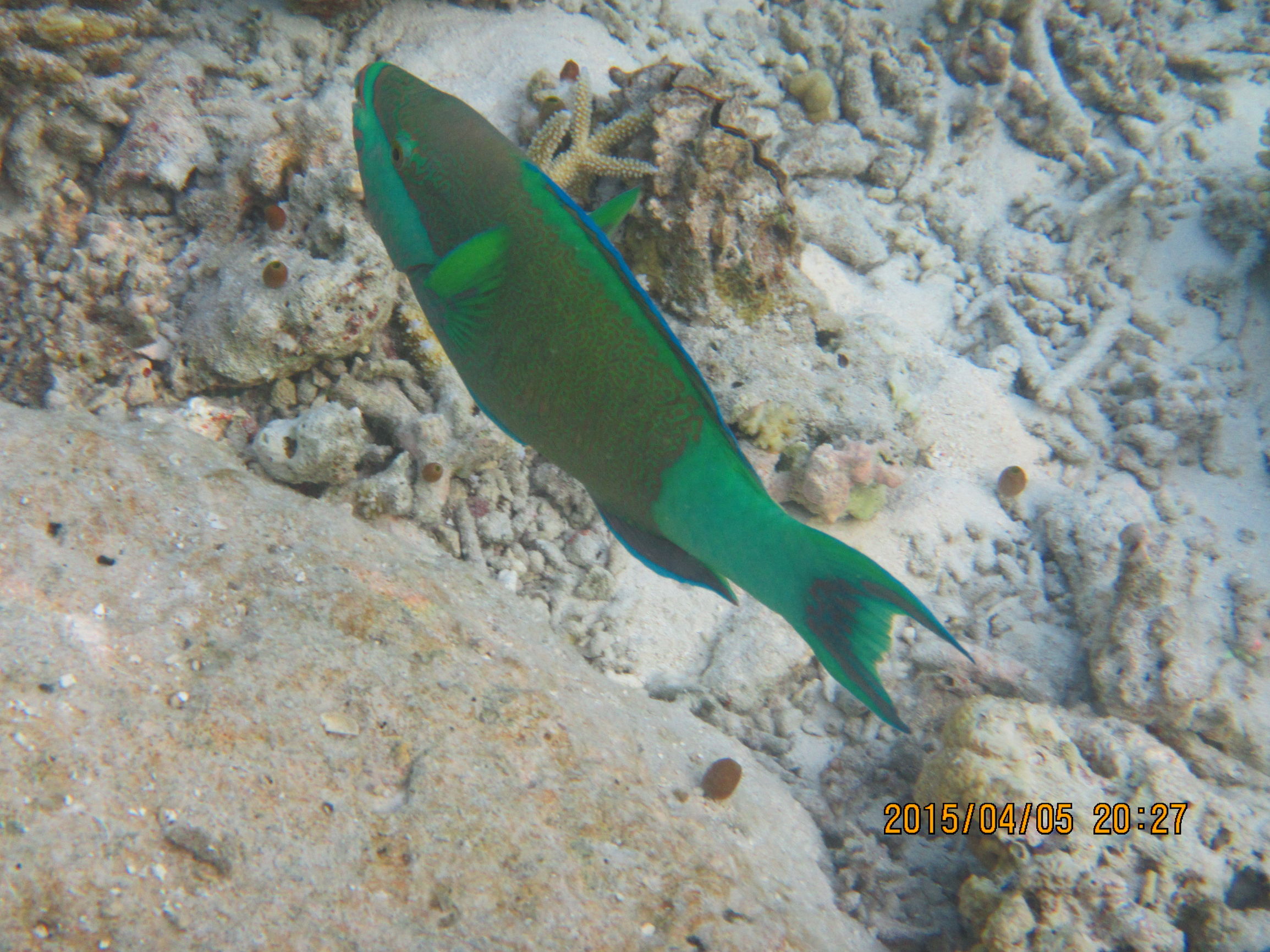 马尔代夫最美景色,最美马尔代夫风景