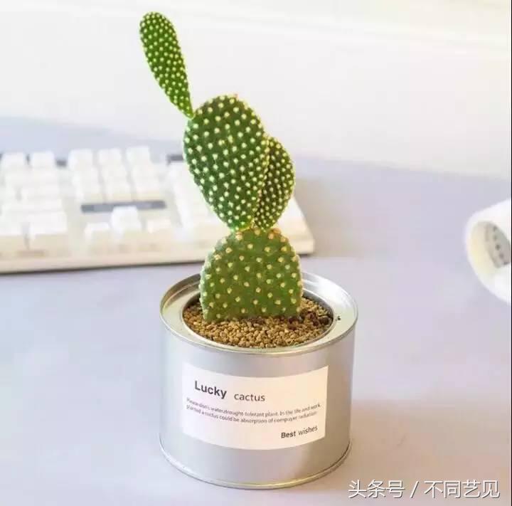 有人沉醉诱惑,有人记录新生,有人被「杀害」!我的恋物种草大会