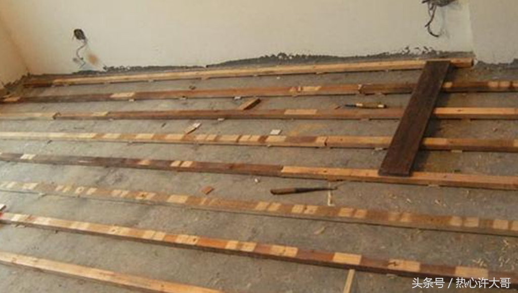 实木地板里面爬出虫子怎么办,装修完家里进虫子