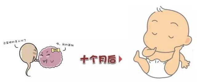 羊水穿刺相关知识,羊水穿刺健康宣教