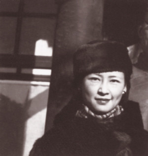 林徽因真的那么有魅力吗,林徽因为什么会有那么多男人喜欢