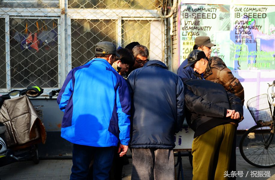 北京十大花鸟鱼虫市场,北京官园花鸟鱼虫市场现在开放吗
