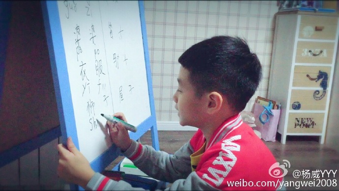 贝儿杨阳洋费曼摘菠萝,爸爸去哪儿贝儿杨阳洋费曼