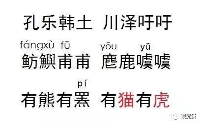 蓝猫找猫报应,蓝毛找猫