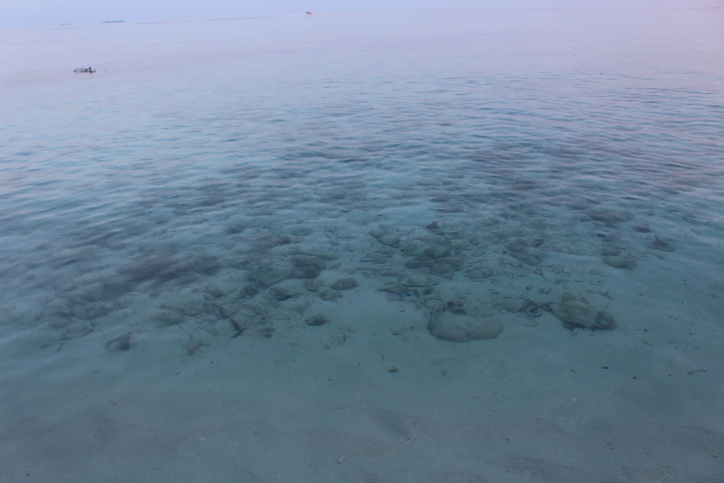 马尔代夫最美景色,最美马尔代夫风景