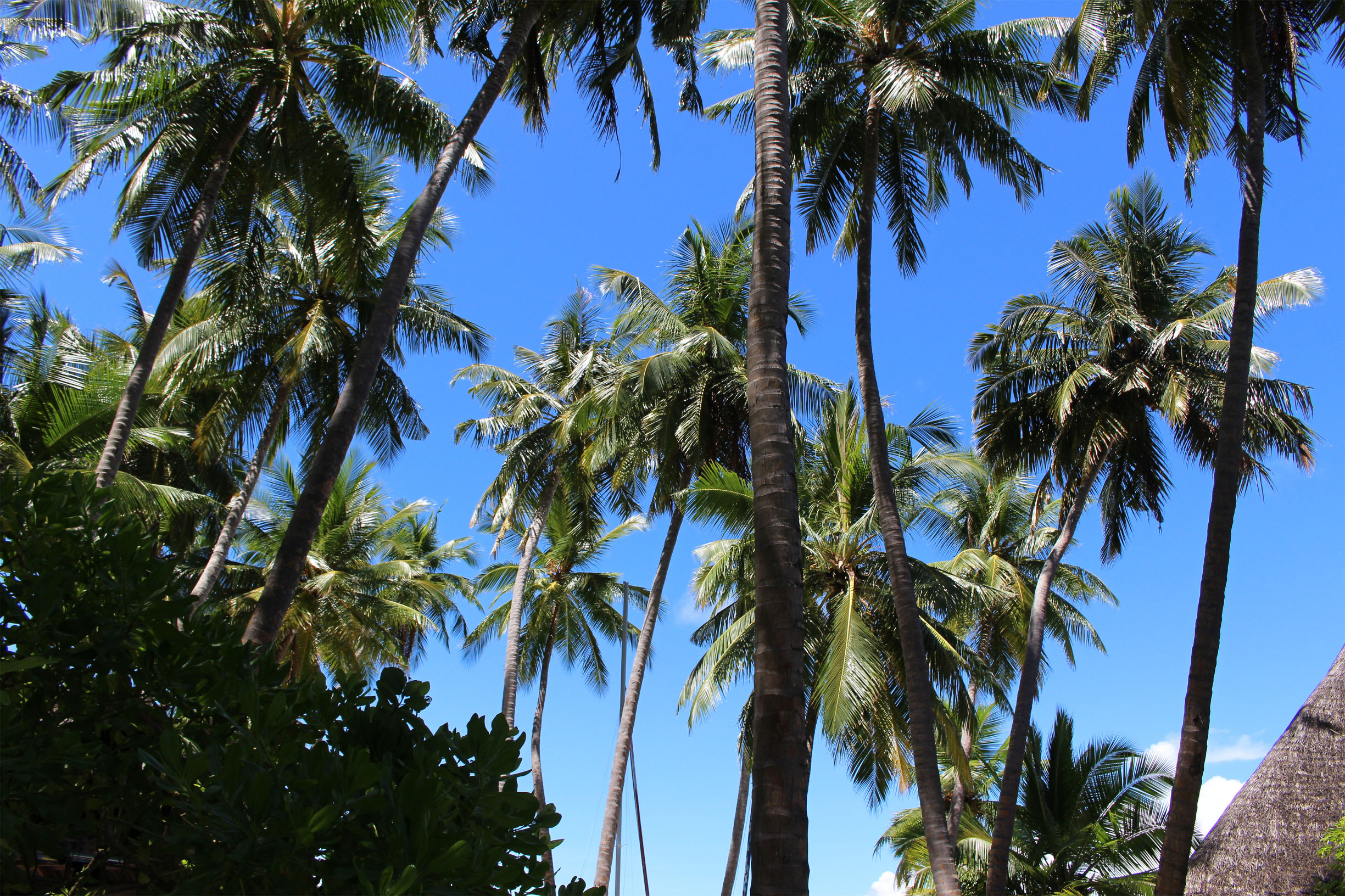 马尔代夫最美景色,最美马尔代夫风景