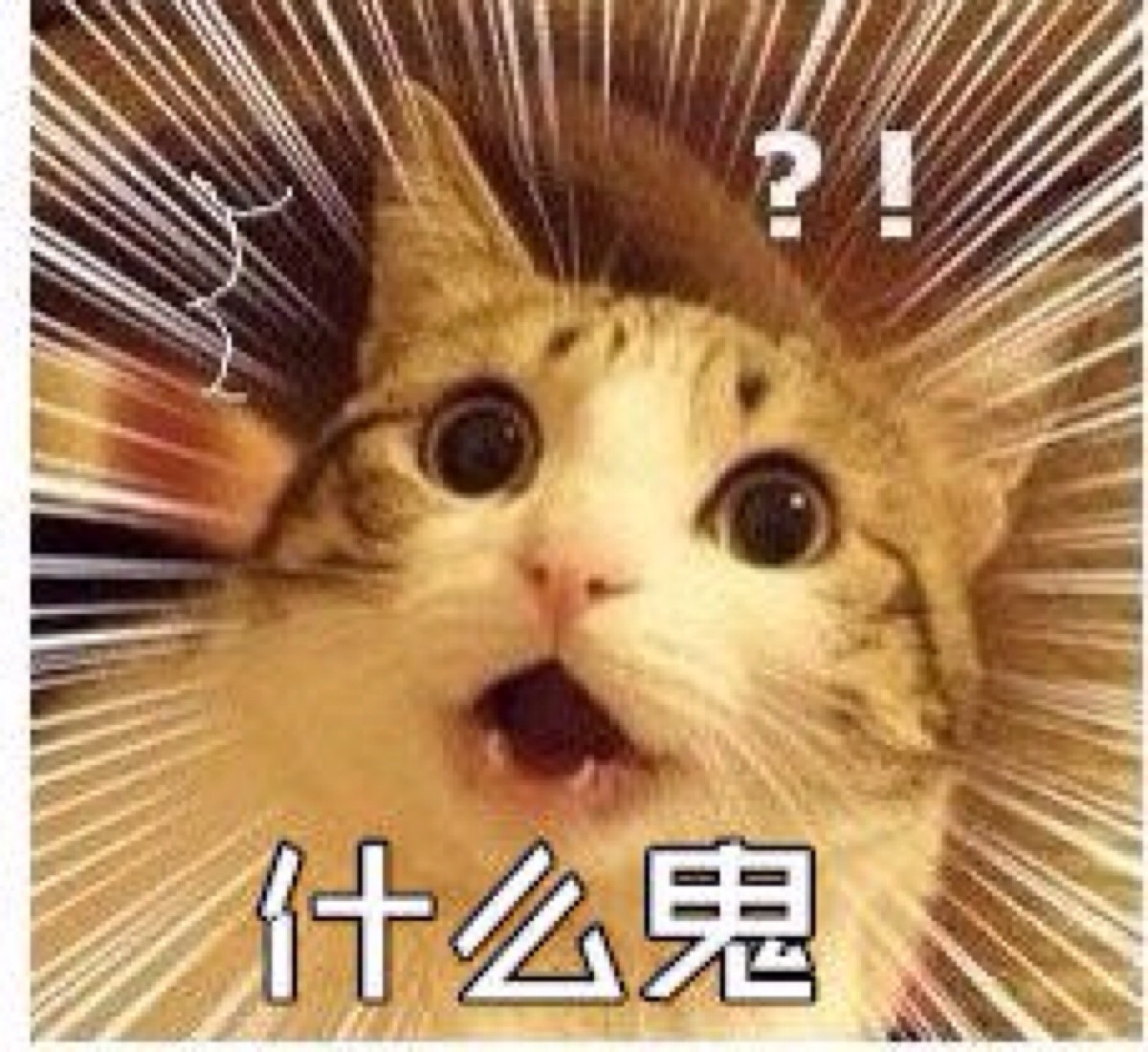 发量减少如何修复,发量稀少怎么补救最快最有效