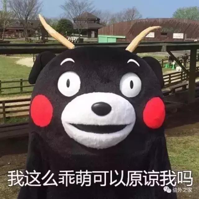 驻外不代购，要你有何用？！