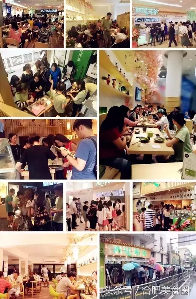 抹茶分层的乳酪蛋糕抹茶控看过来,抹茶控巧克力控看过来