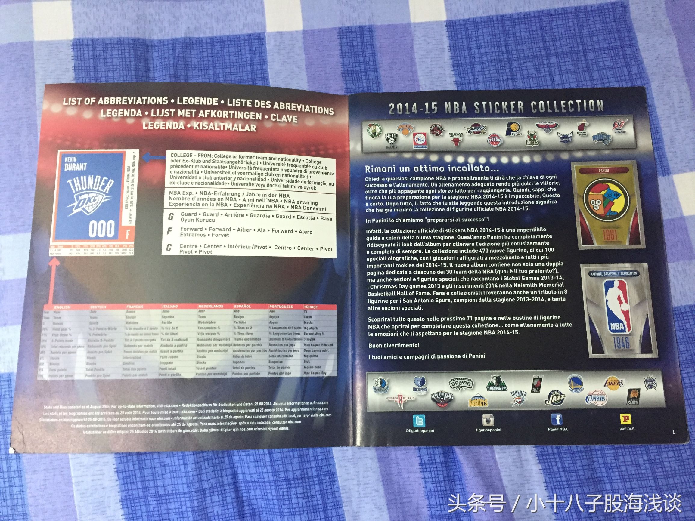 帕尼尼nba贴纸,nba帕尼尼贴纸卡