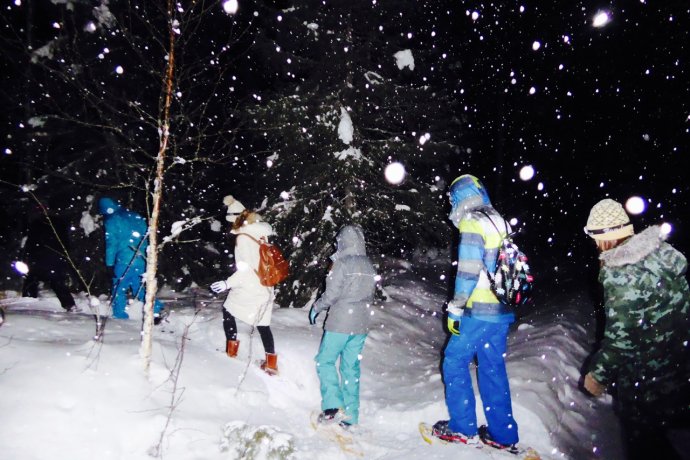 雪地桑拿和裸奔，北极光啊我等到花儿也谢了