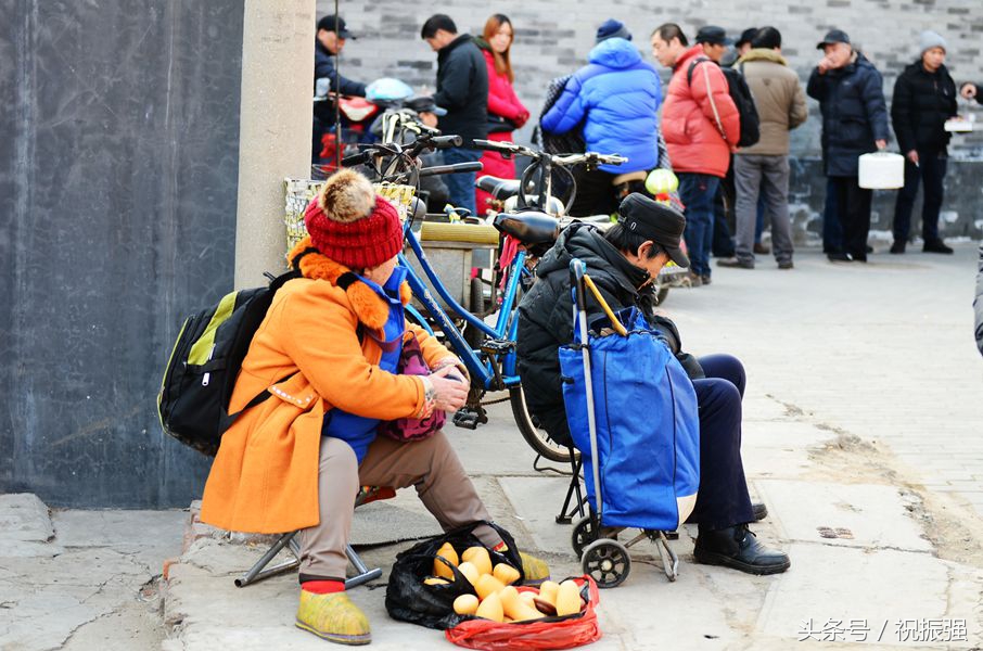北京十大花鸟鱼虫市场,北京官园花鸟鱼虫市场现在开放吗