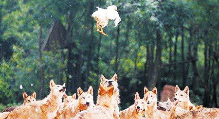 璺楅涔嬭泦by鍖垮悕鍜搁奔鍏嶈垂闃呰,鐢靛晢鐜板湪娣樺瓒婃潵瓒婇毦鍋氫簡