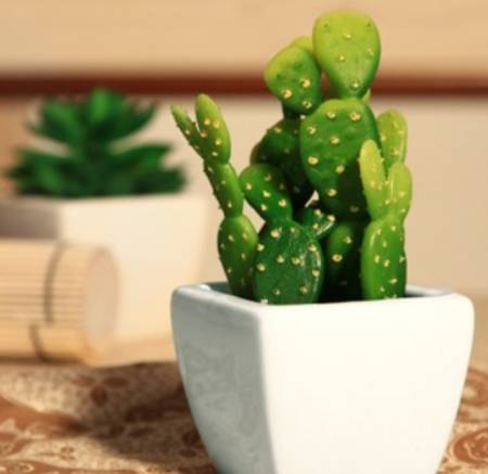 外出旅游家里的花没人浇水怎么办,出差家里花没人浇水怎么办