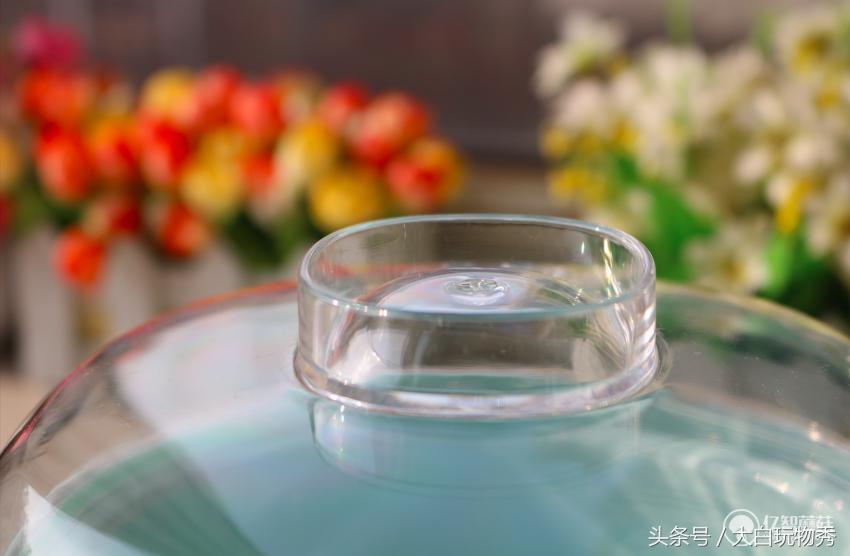 生活元素h1炖盅内胆,生活元素电煮锅测评