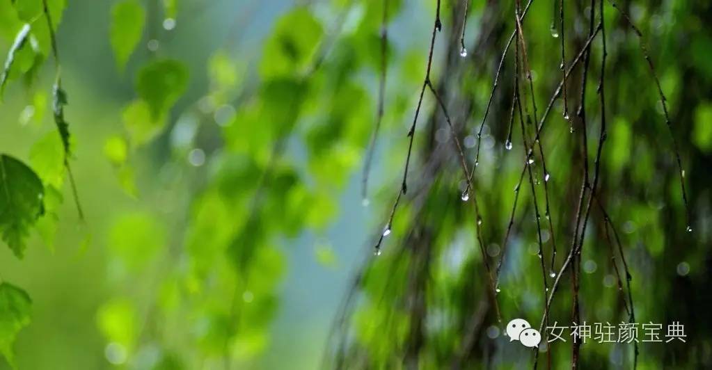 体质痰湿湿热,湿热体质和痰湿体质的区别