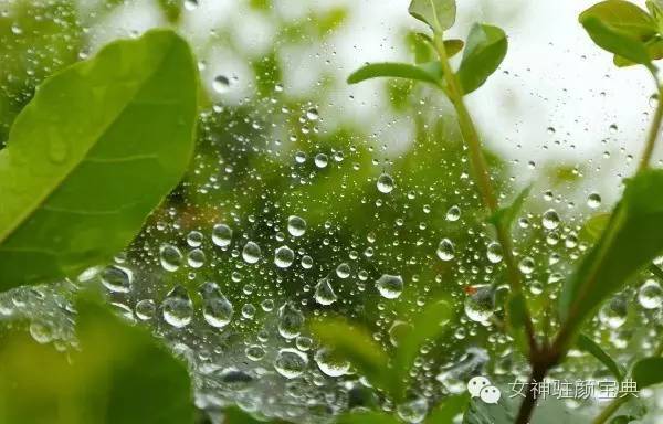 体质痰湿湿热,湿热体质和痰湿体质的区别