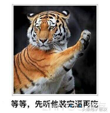 手机怎么提高打字速度和正确率,怎么提高手机打字速度和正确率