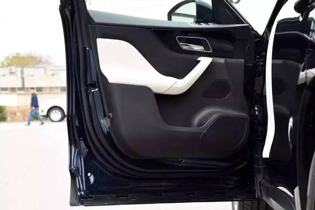 家宠美洲虎,人工饲养的美洲虎