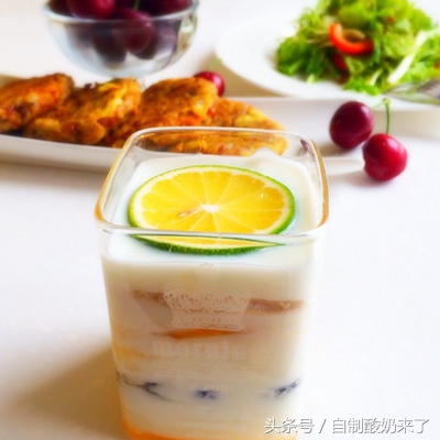 乳酸菌和酸奶哪个对肠胃好,乳酸菌会破坏肠胃吗