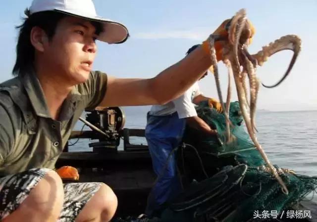 扬州人来旅游,春节江苏出发3-5天短途旅游推荐