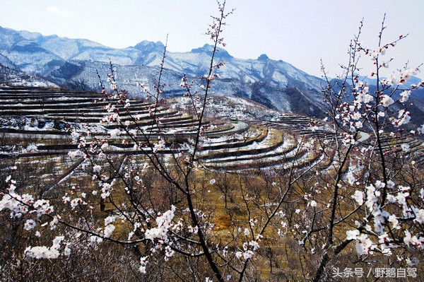 北京郊区房山蒲洼自驾游,房山野鹅旅游攻略