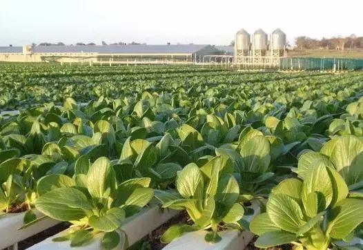 农村合作社财务存在的问题,村合作社账务存在的问题