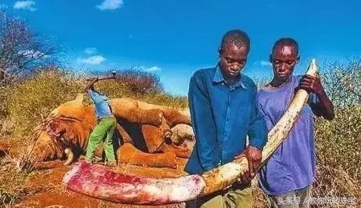 平民必买的宝石,这八种宝石不能买