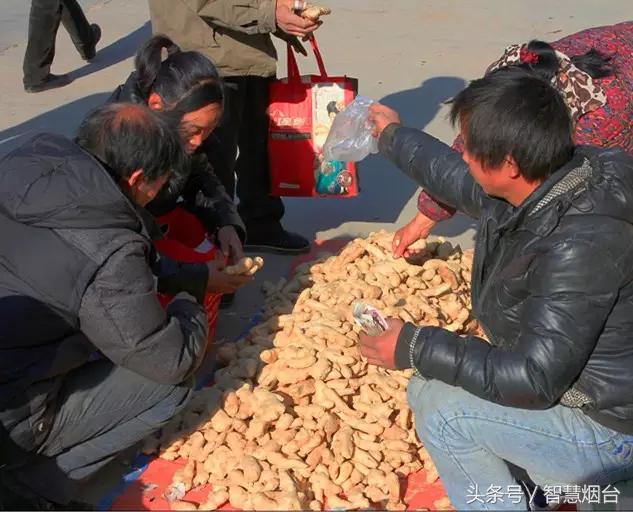 烟台农村大集时间一览表,山东烟台农村大集时间表