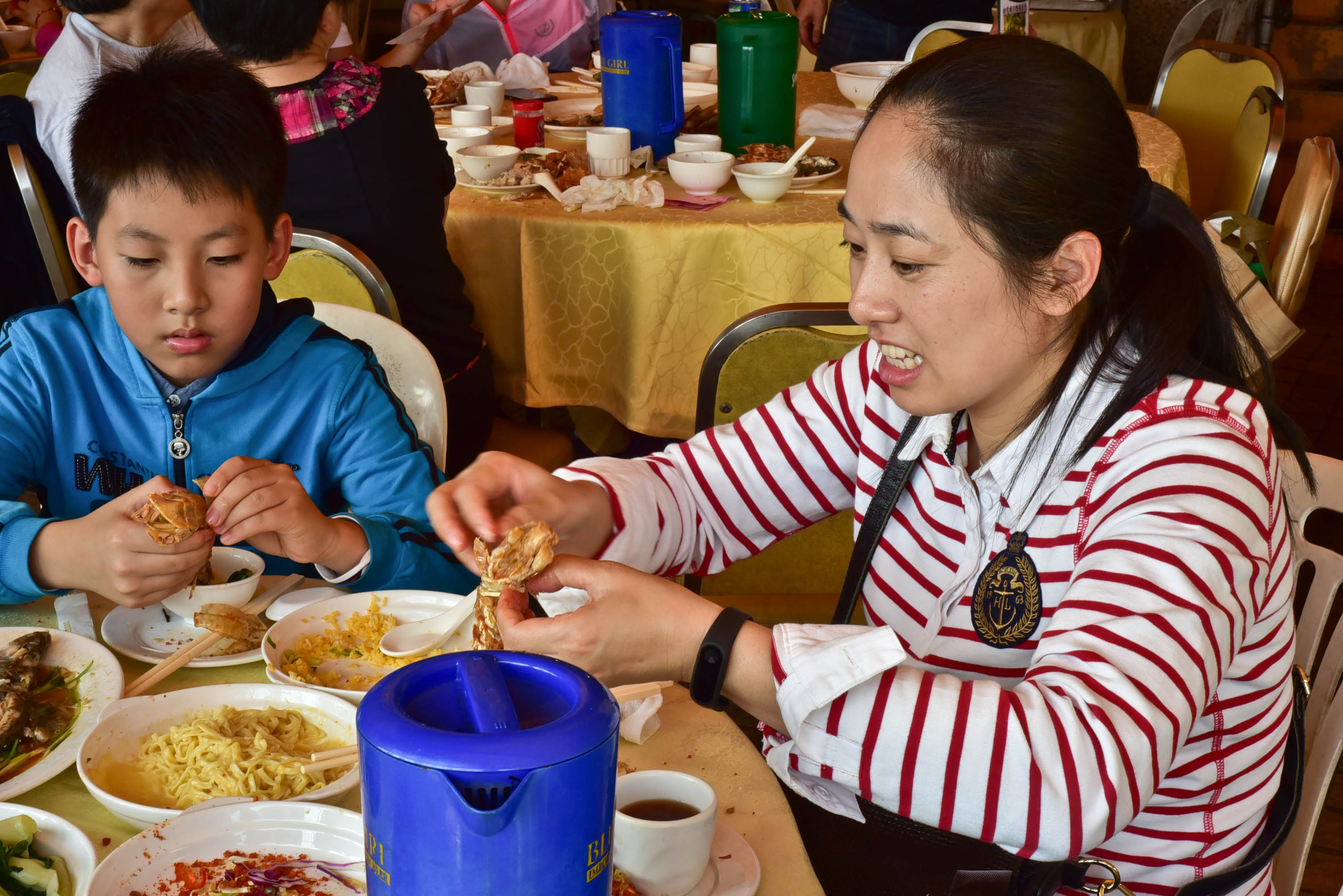 兔子游日本,兔子海边旅行记